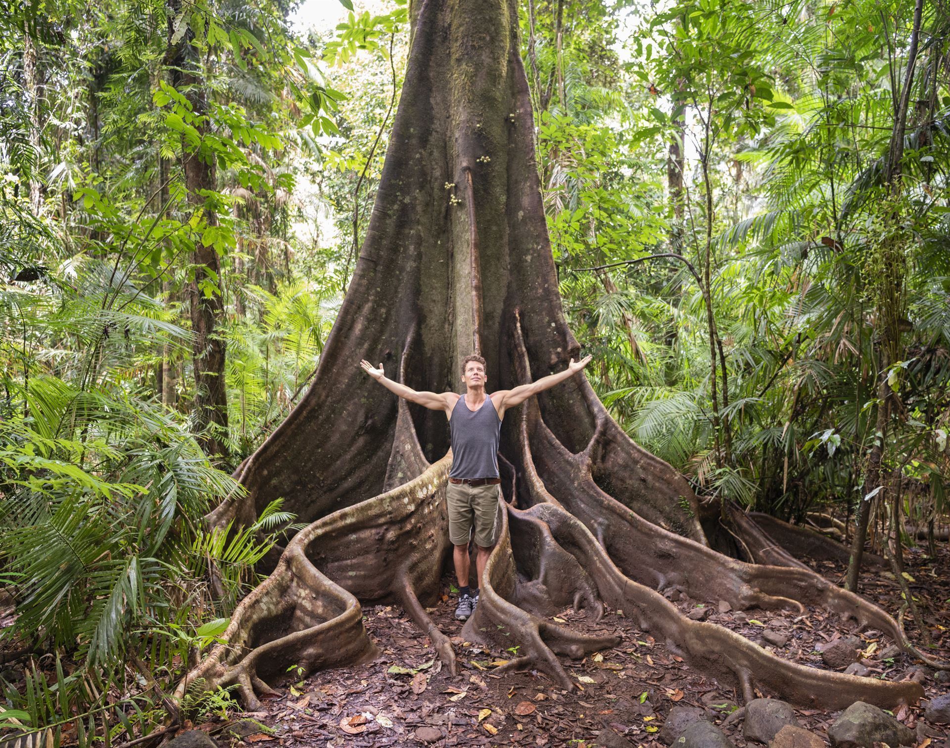 Daintree Nationalpark
