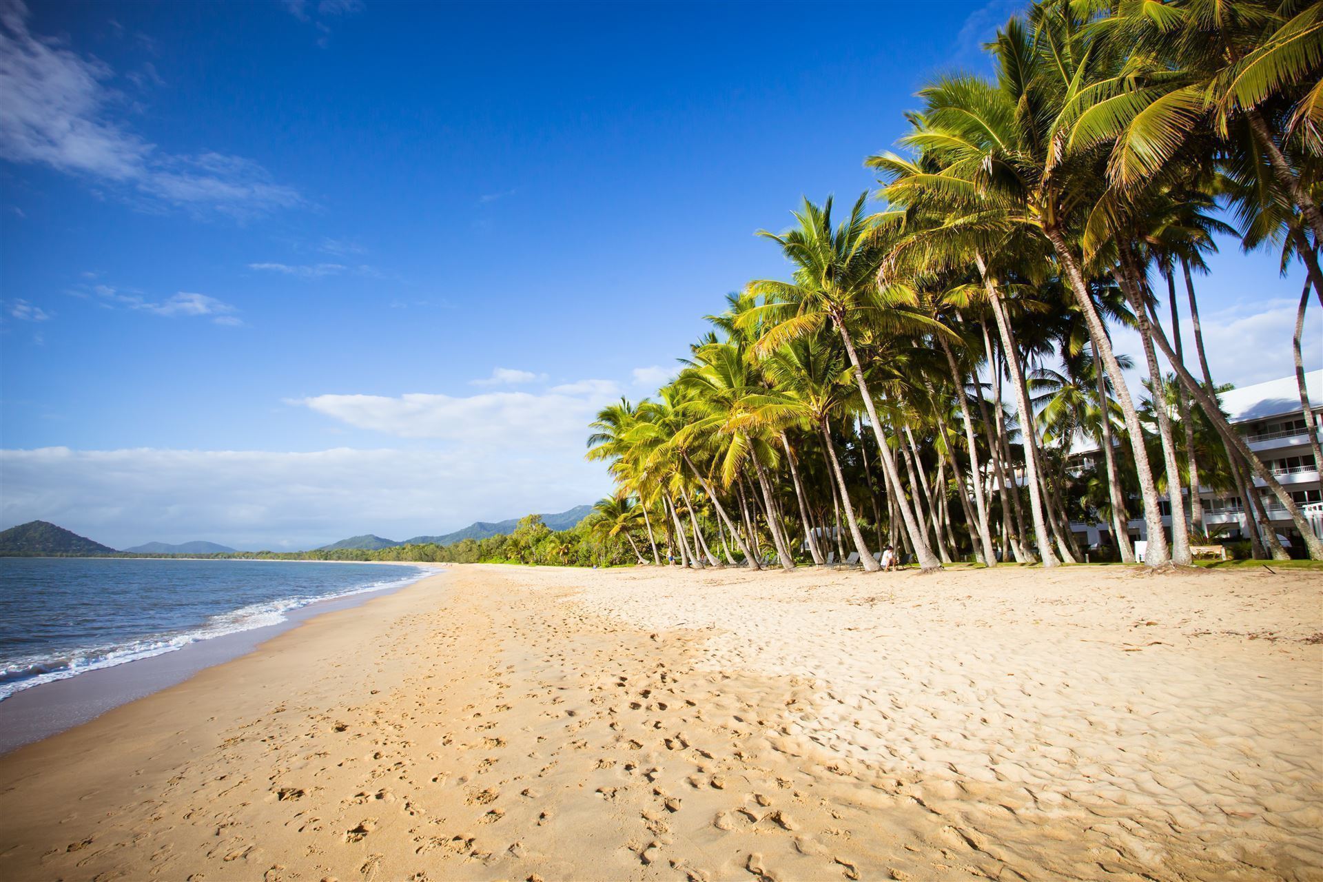 Palm Cove