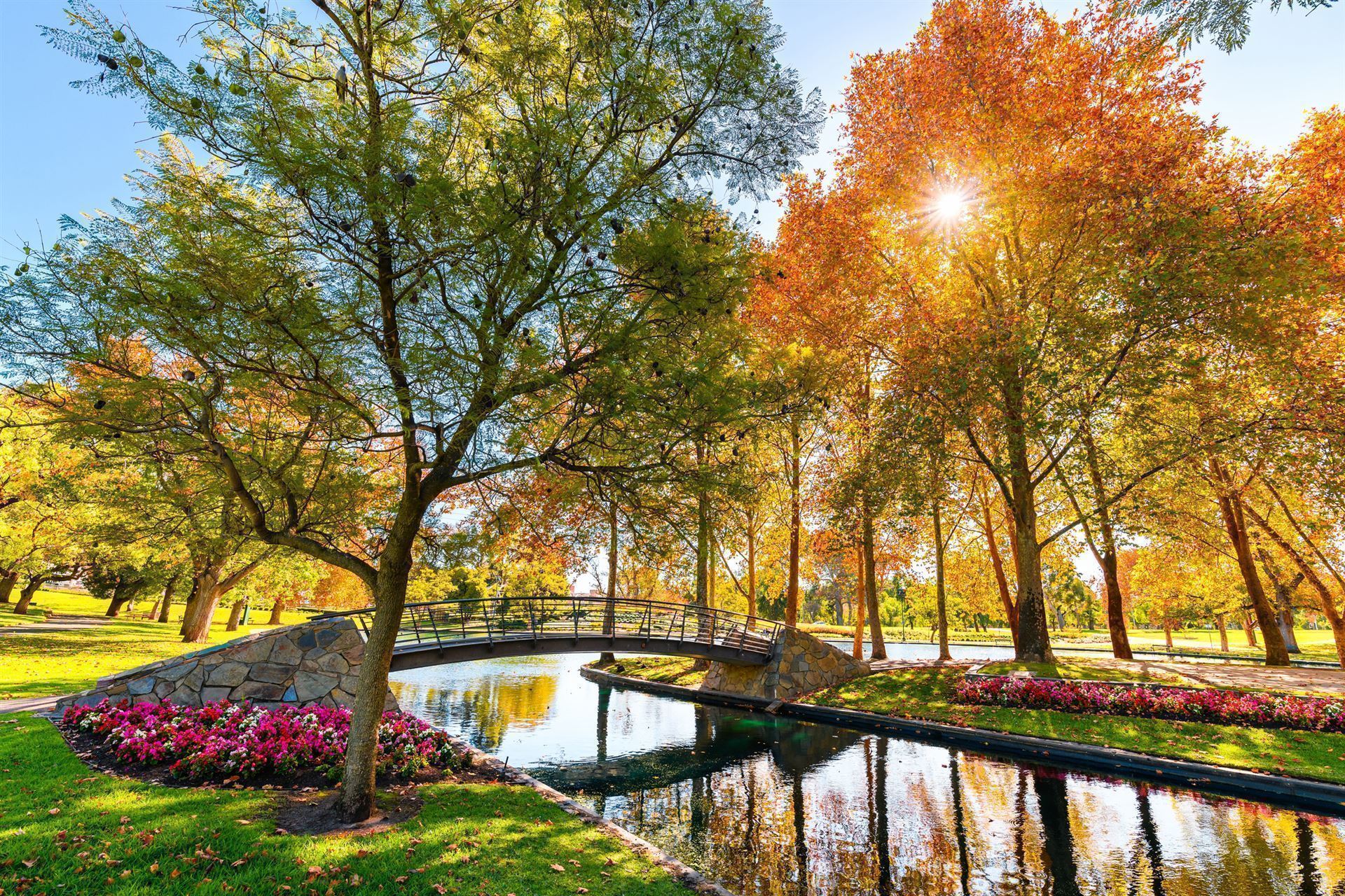 Rymill Park in Adelaide