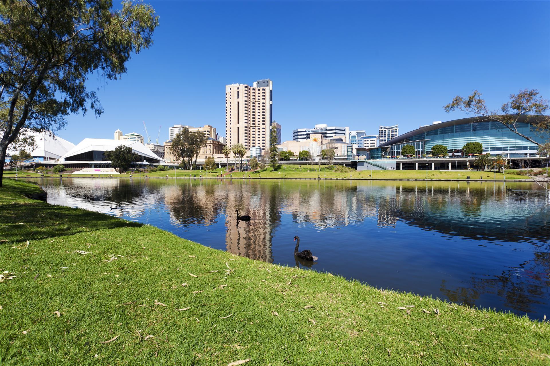 Adelaide