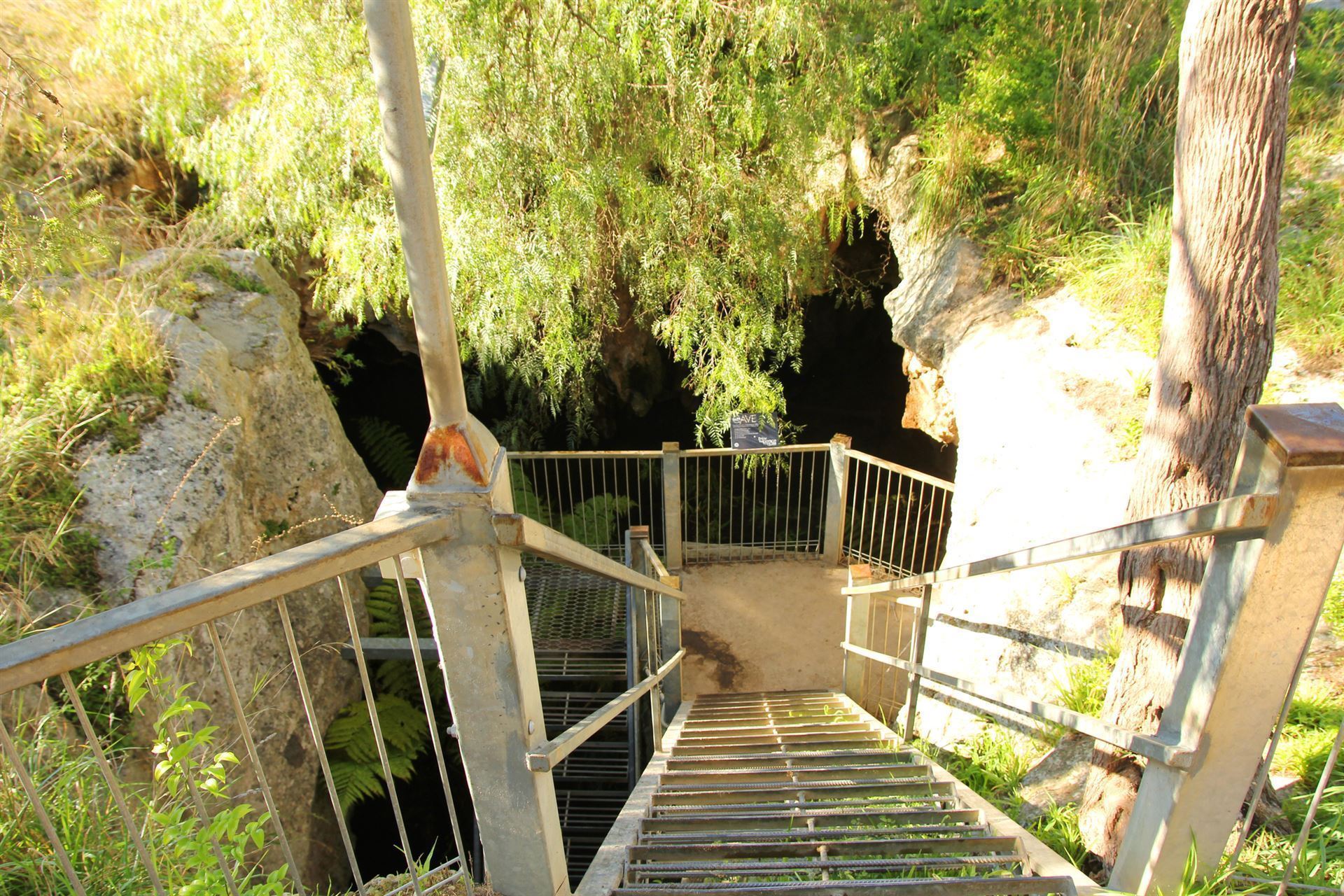 Zugang zu den Naracoorte Caves