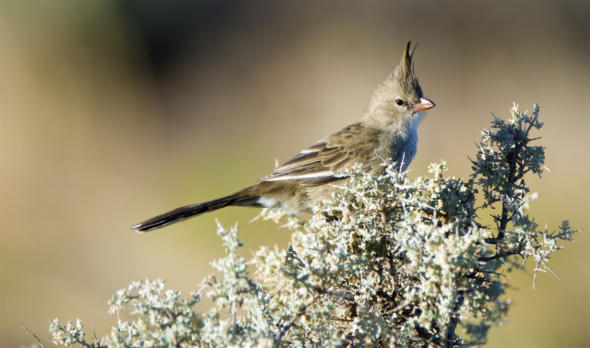 Impressionen aus Port Augusta