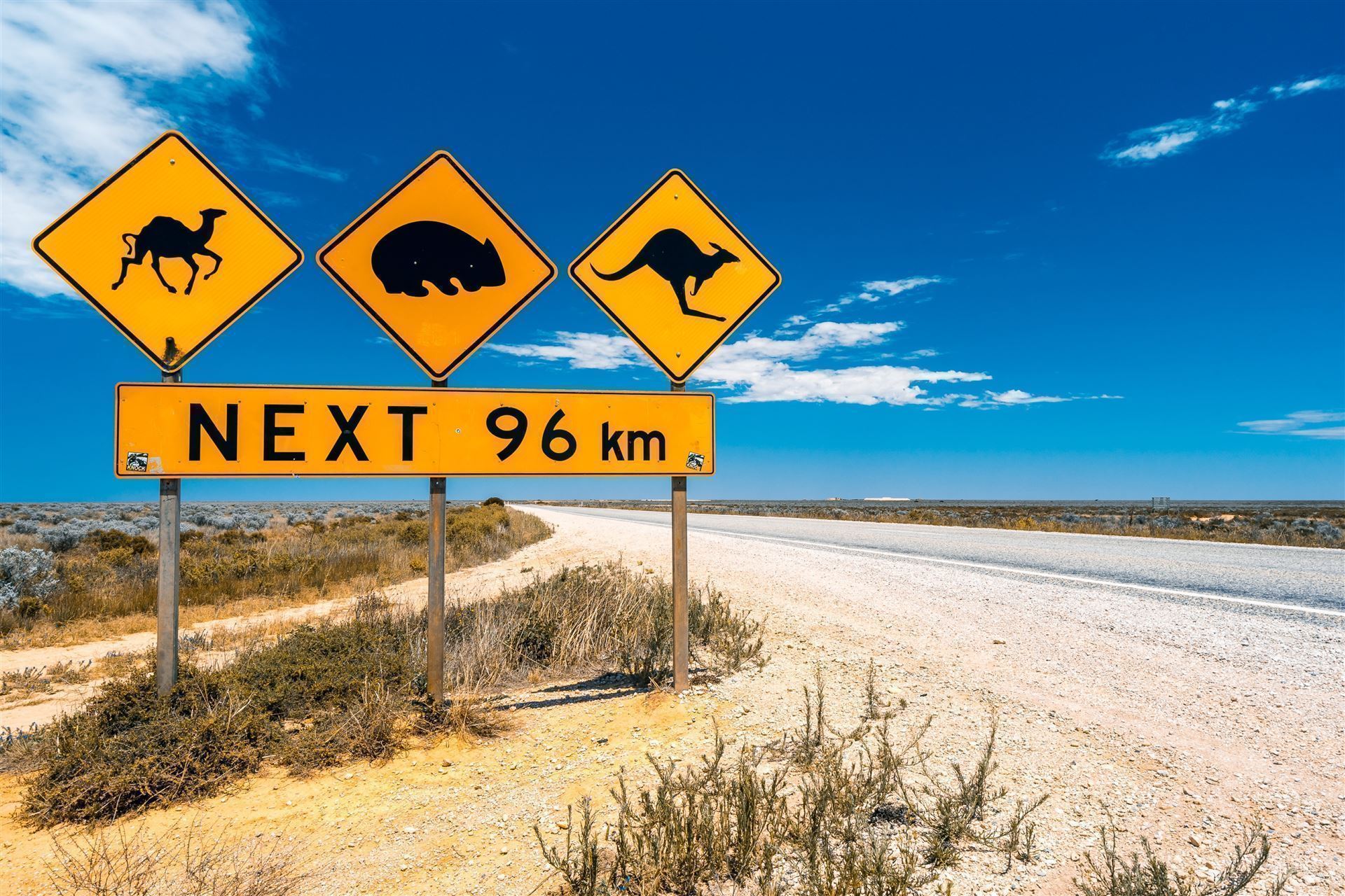 Nullarbor Plain