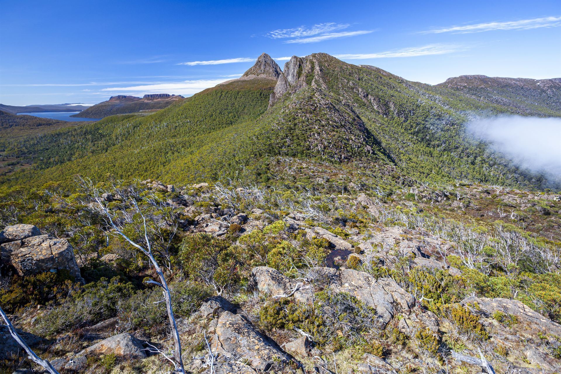 Cradle Mountain & St. Clair Lake in der Ferne