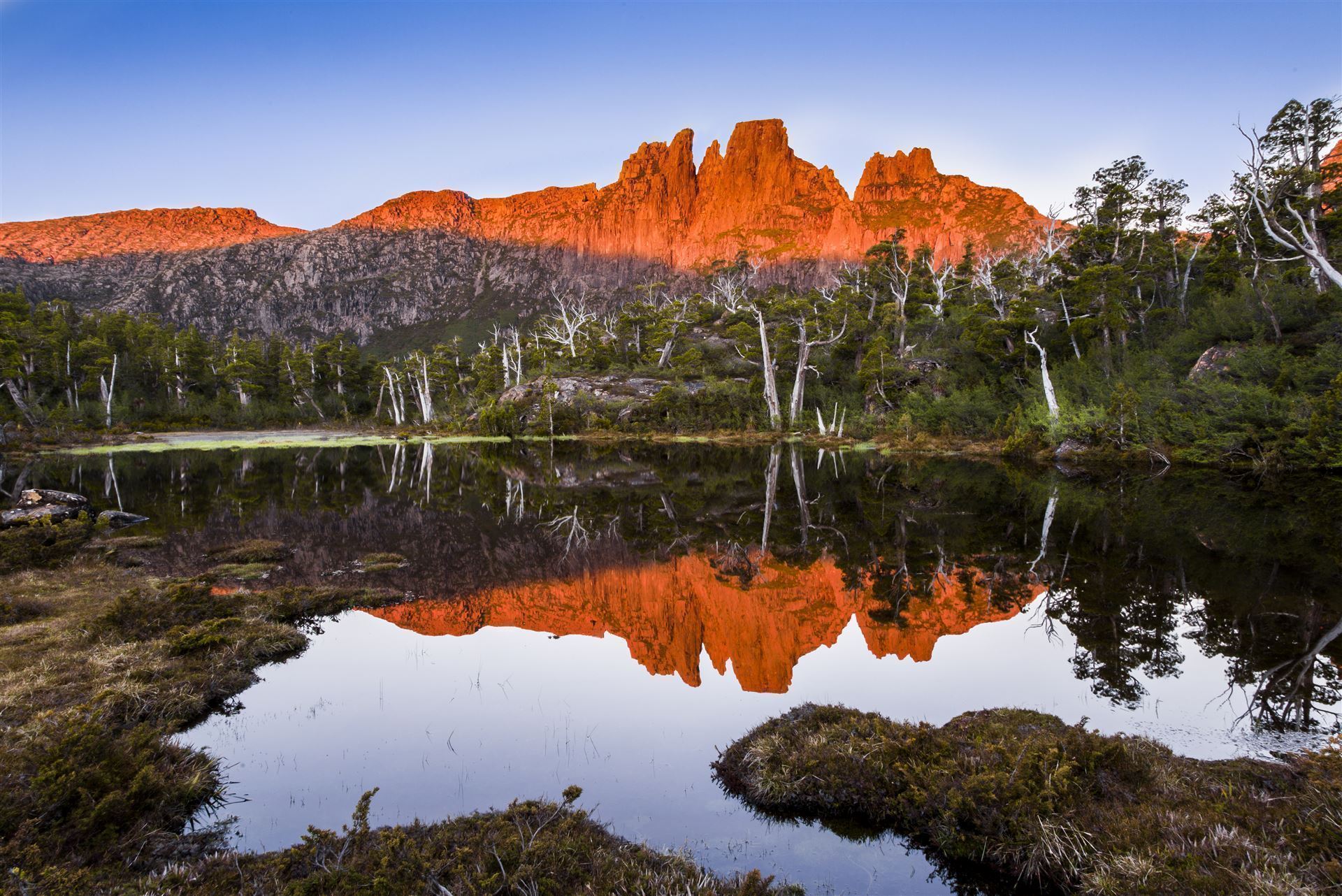 Cradle Mountain/Lake St Clair National Park, Tasmanien