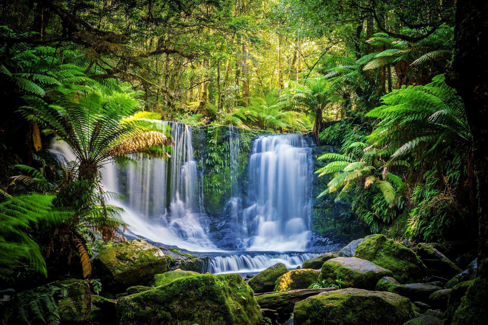 Horseshoe Falls, Mt Field National Park, Tasmanien, Australien