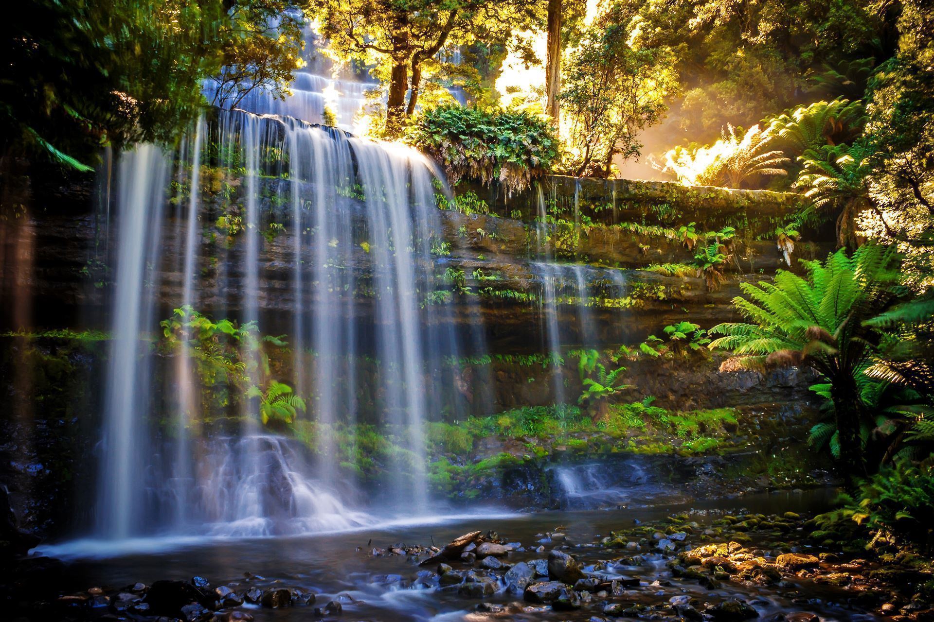 Russel Falls
