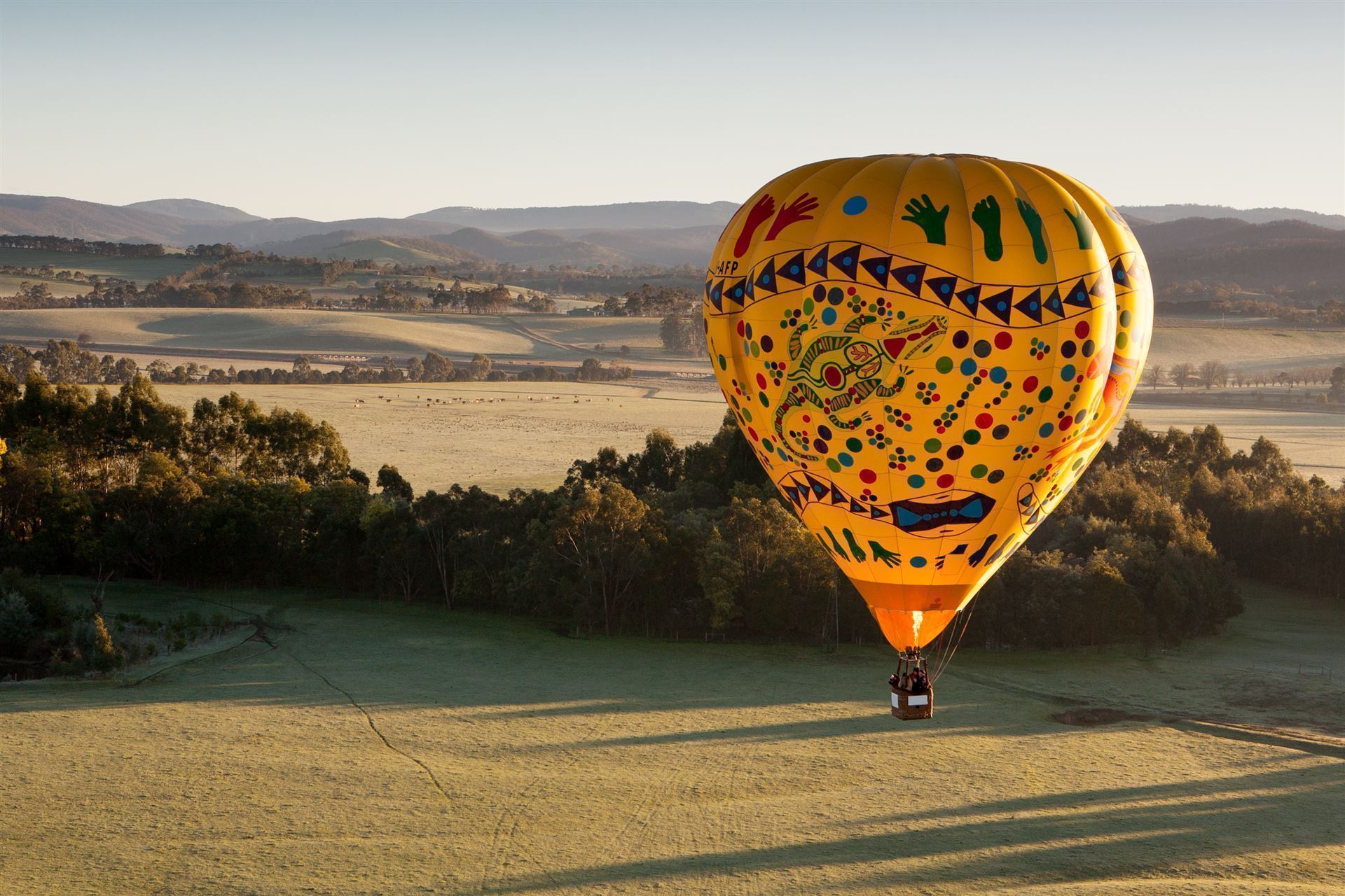 Ballon über dem Yarra Valley