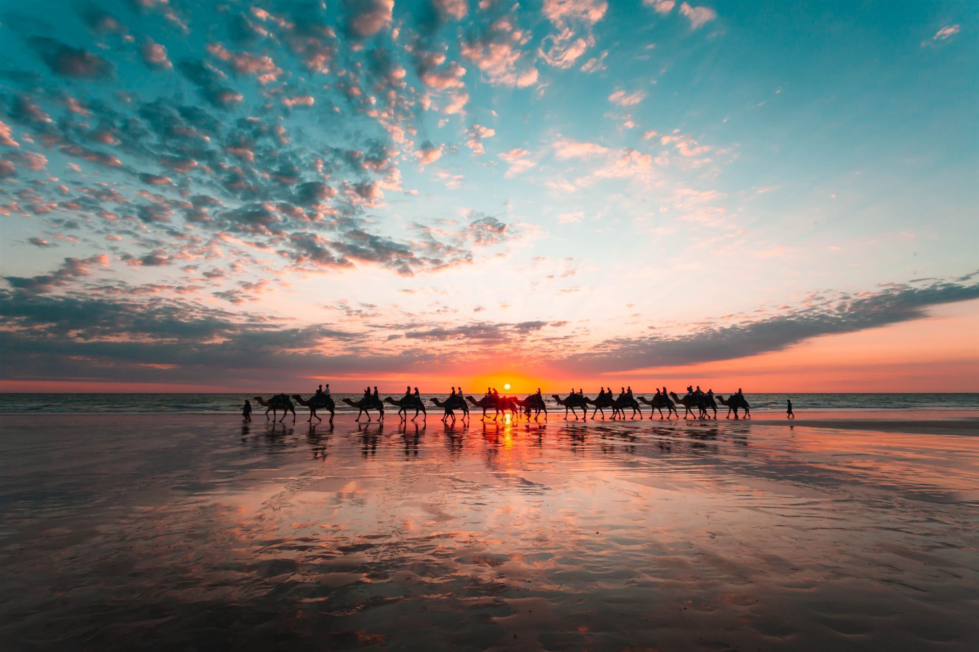 Kamelkarawane in Broome