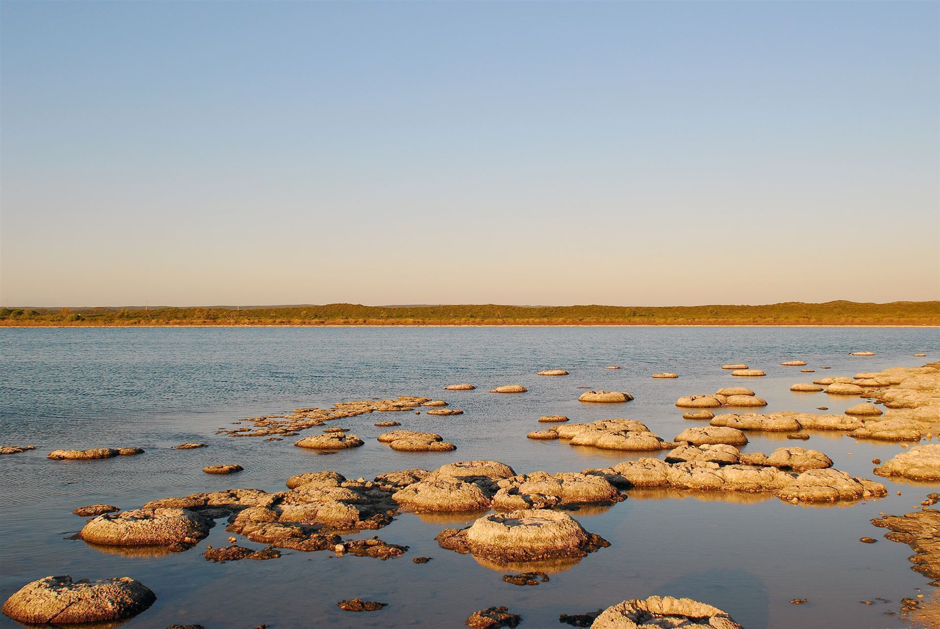 Stromatholiten im Lake Thetis