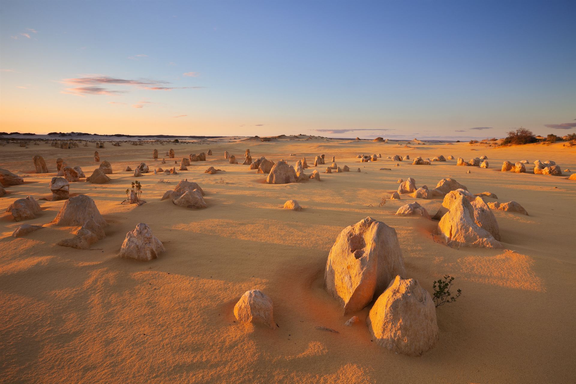 Pinnacles im Nambung Nationalpark