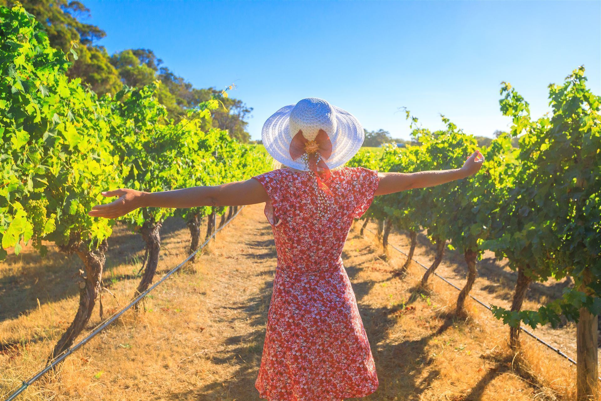 Weinanbau in Margaret River