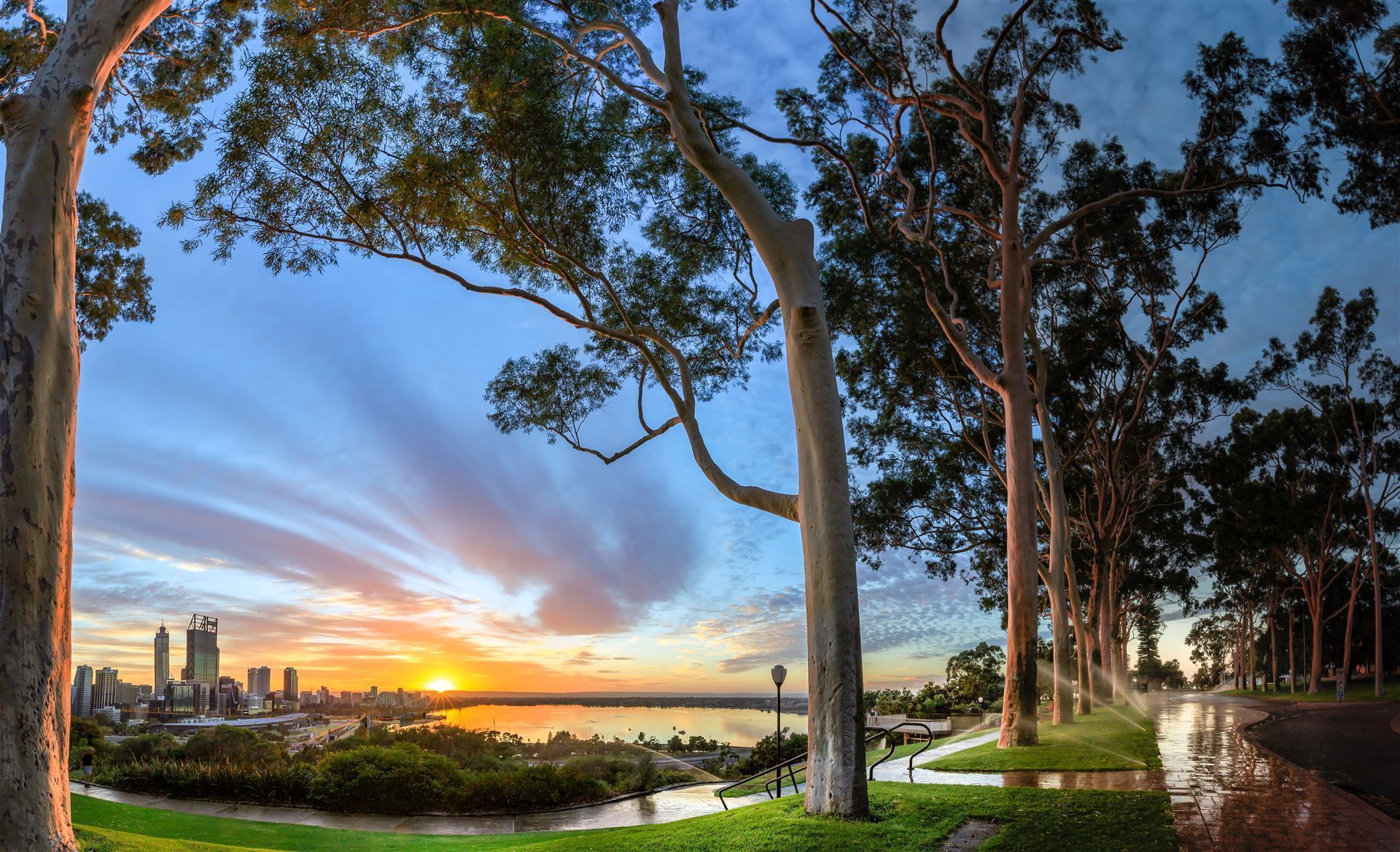 Sonnenaufgang vom Kings Park