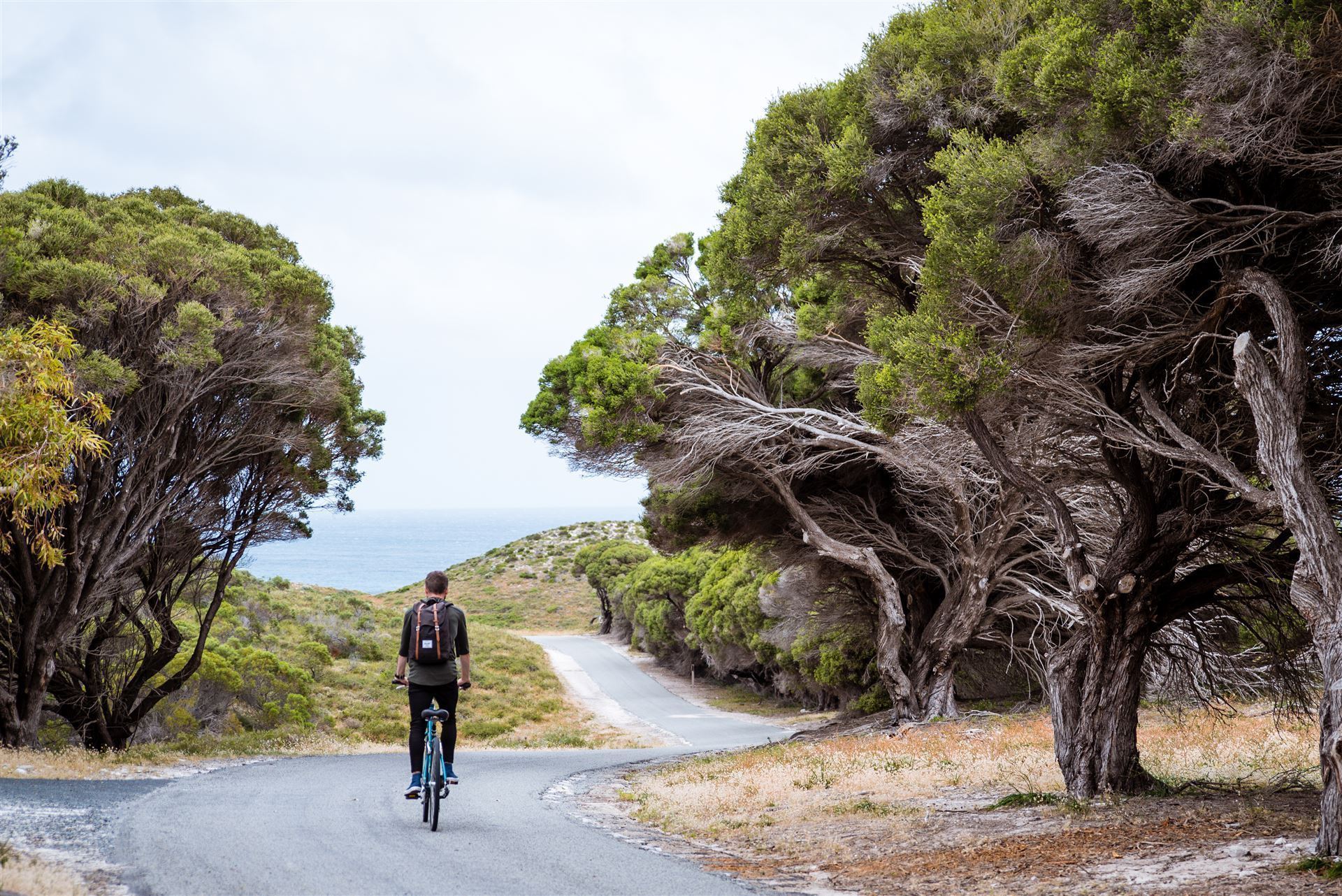 Radfahren auf Rottnest Island