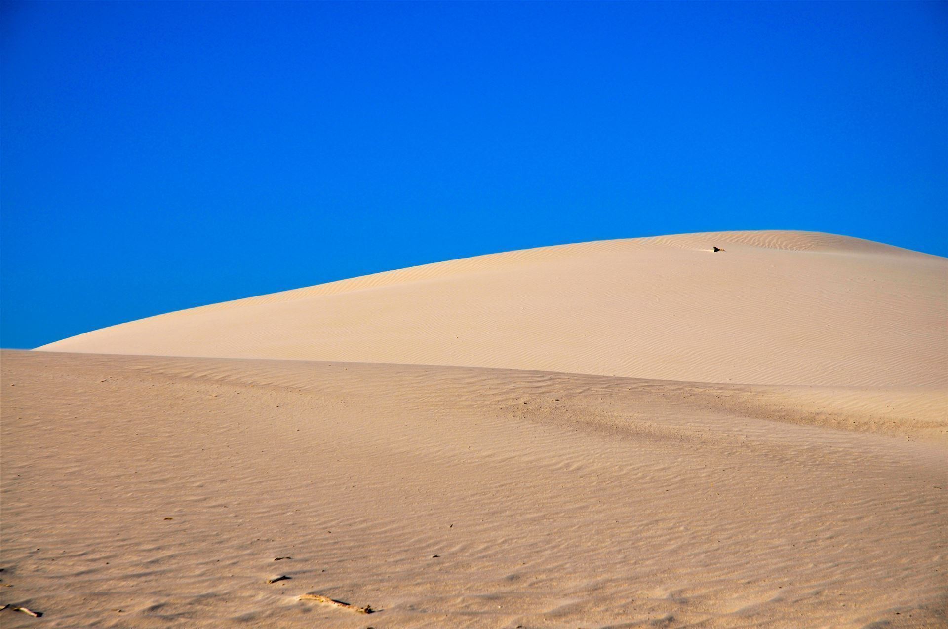 Great Sandy Desert