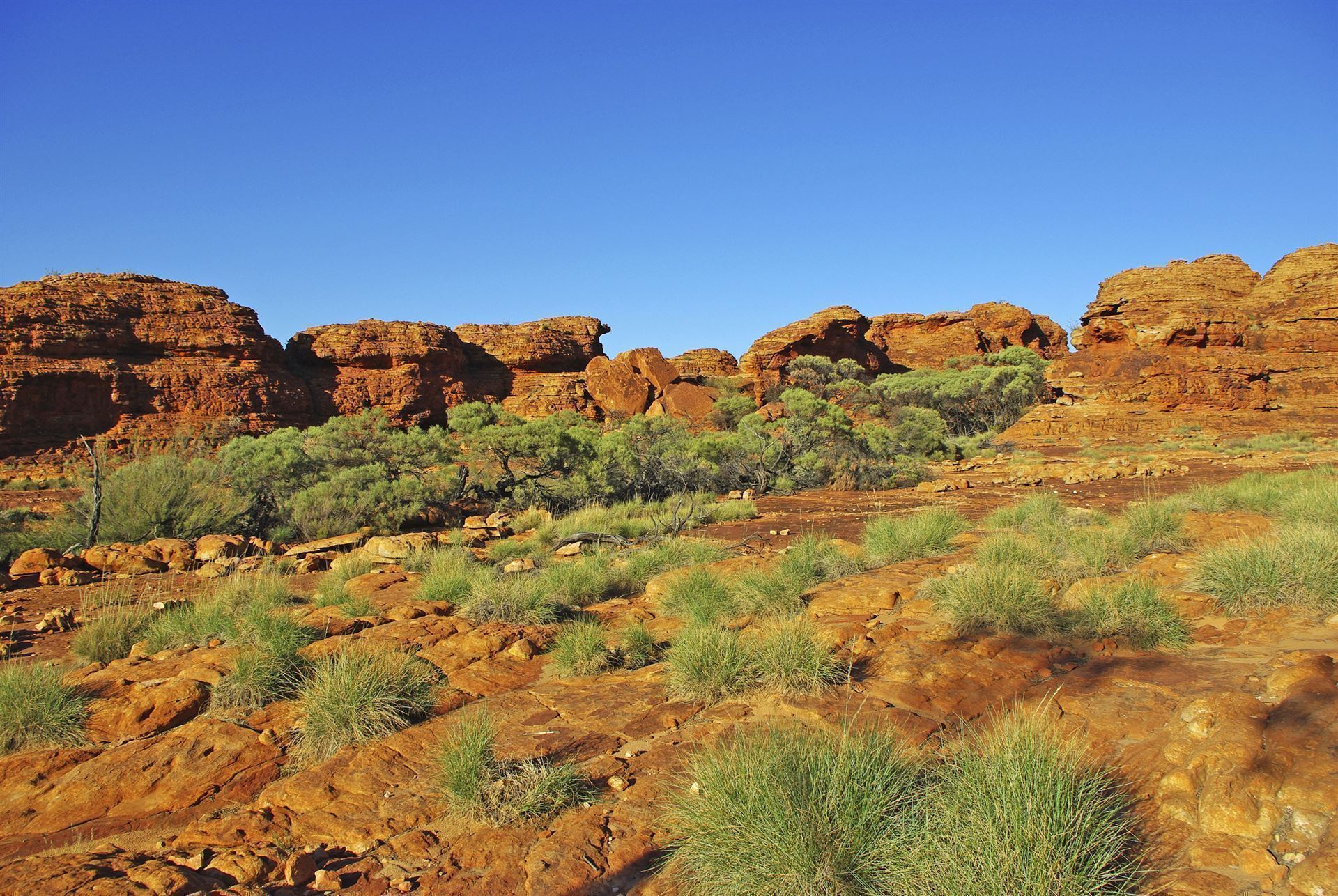 Kings Canyon