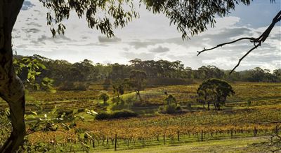 Clare Valley