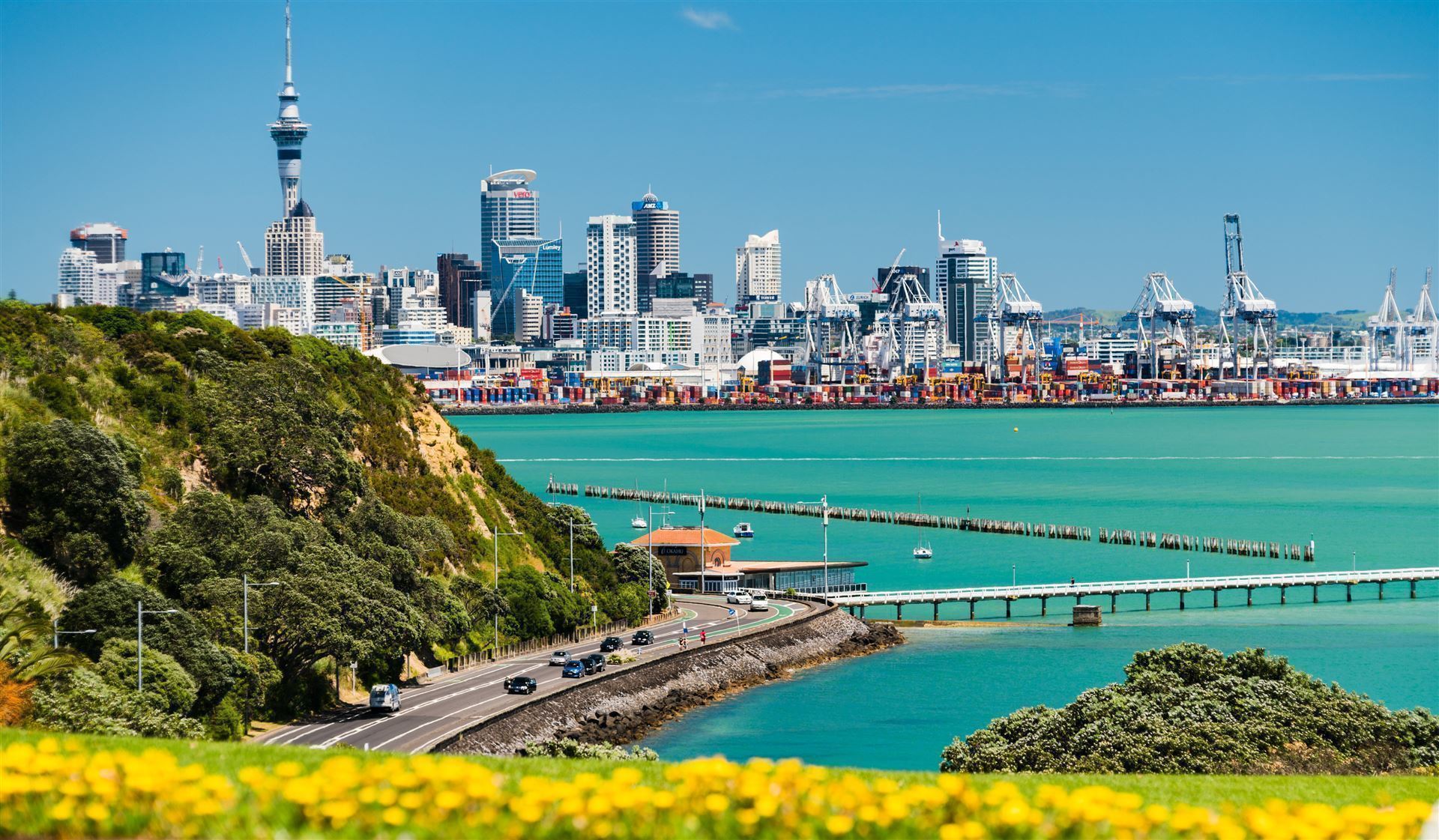 Auckland City