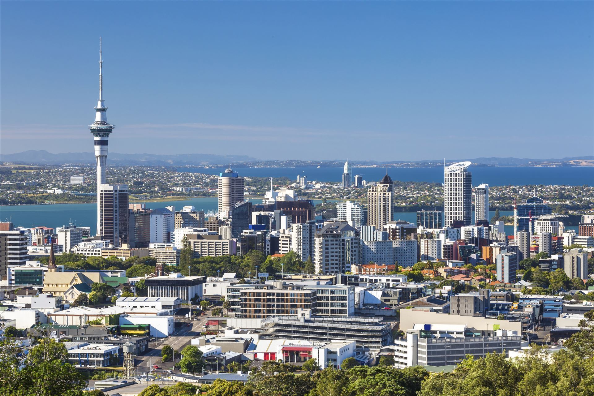 Cityblick Auckland
