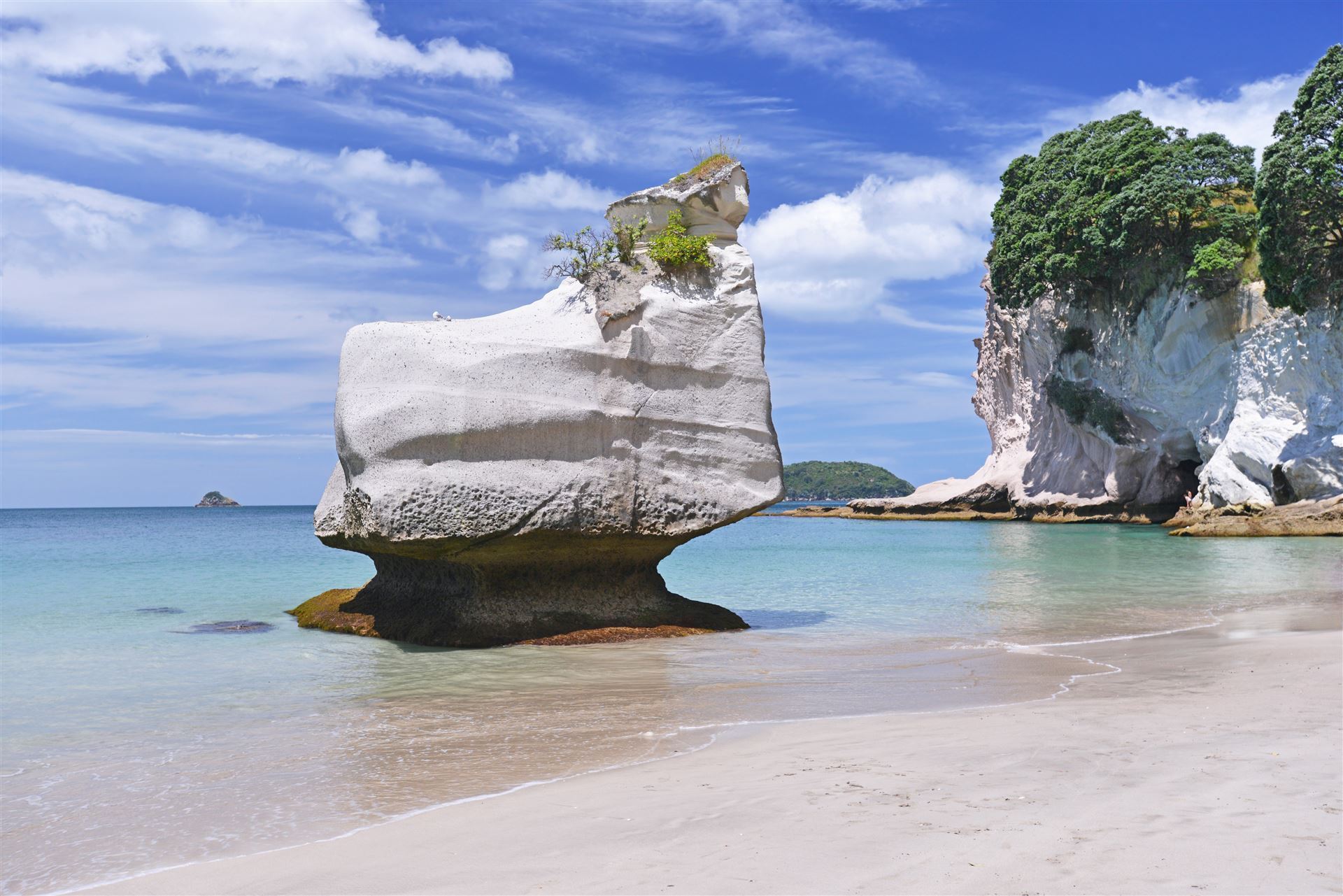 Cathedral Cove Beach