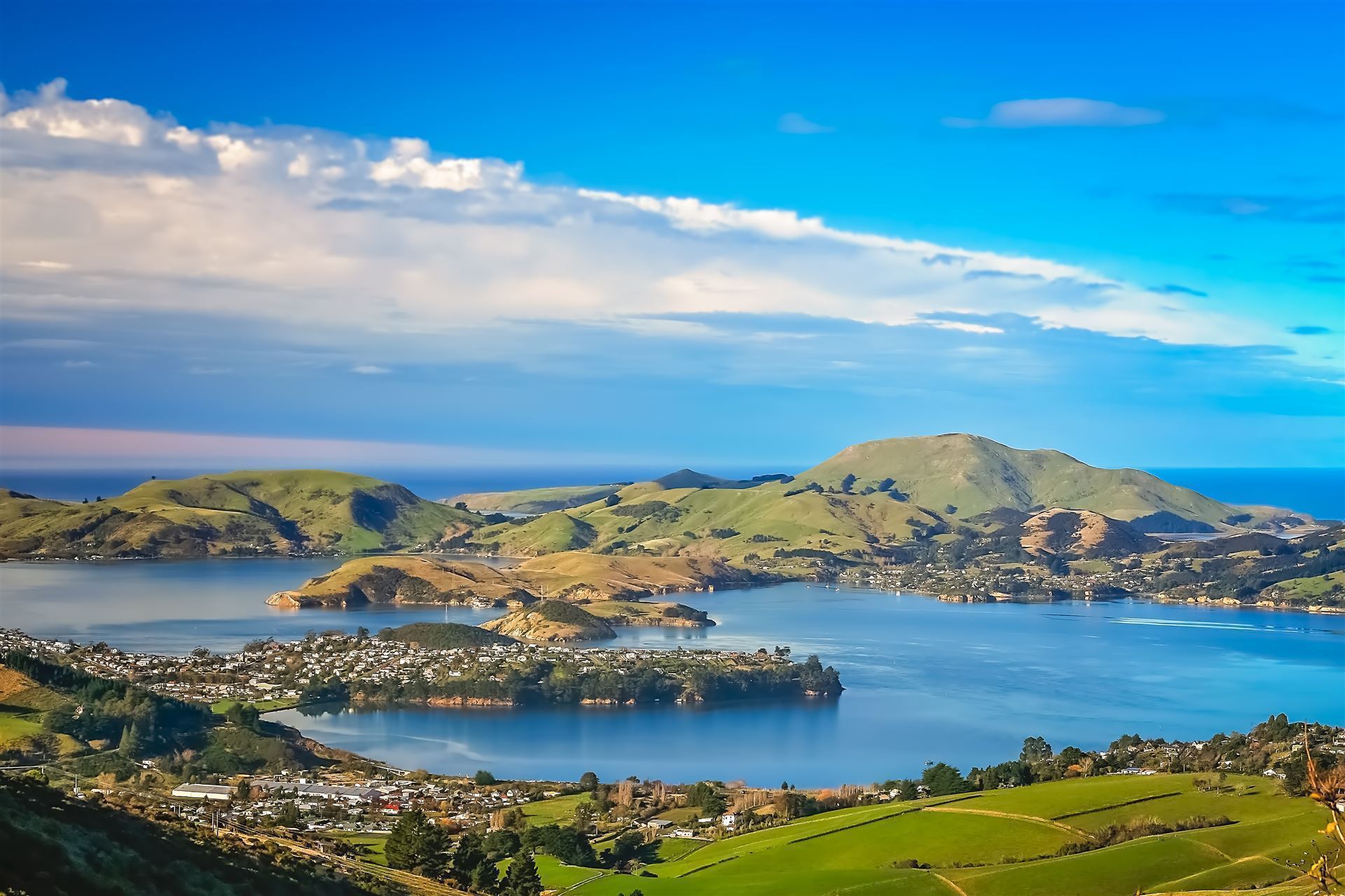 Bucht von Dunedin