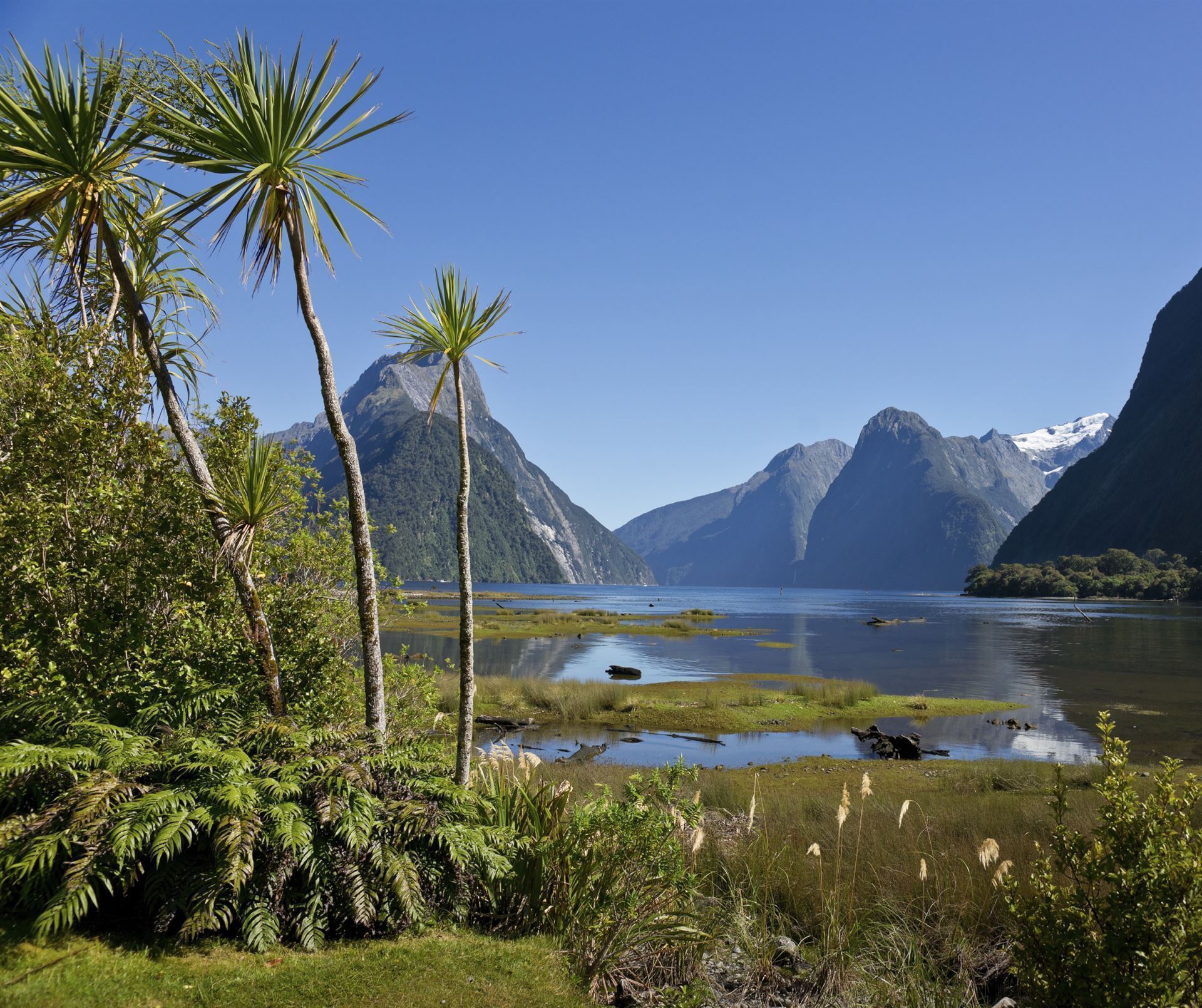 Milford Sound mit Berge