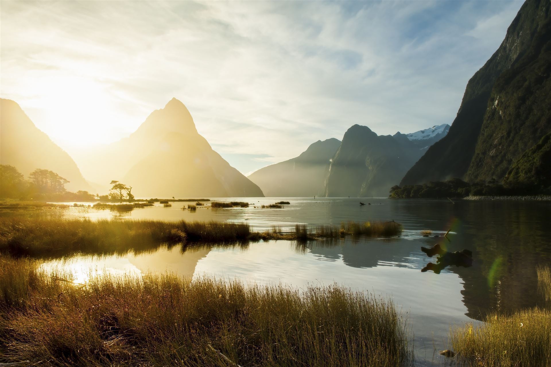 Fjordland Nationalpark mkit Nebel