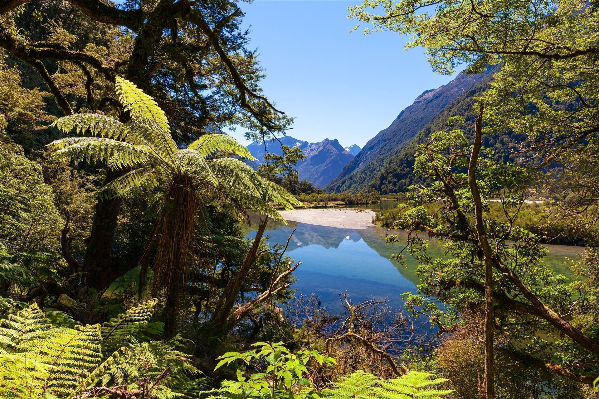 Fjordland Nationalpark mit grüner Landschaft