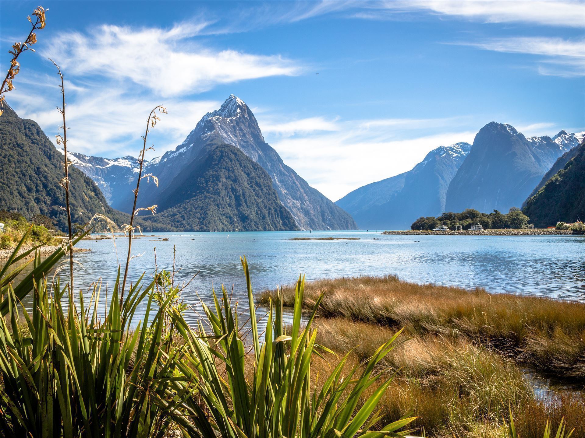 Frühling im Milford Sound
