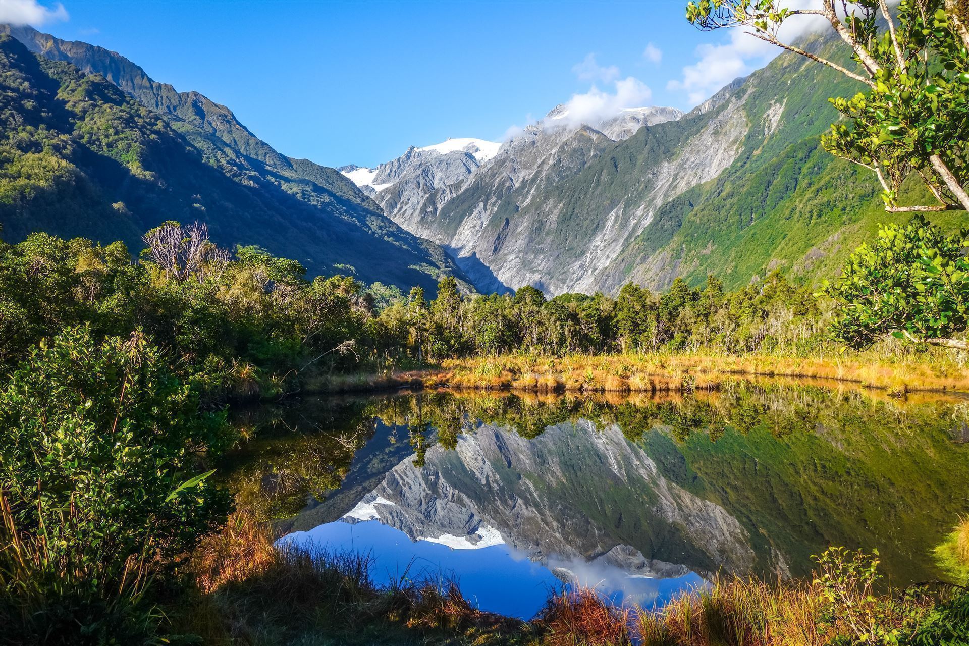 Franz Josef Glacier und See