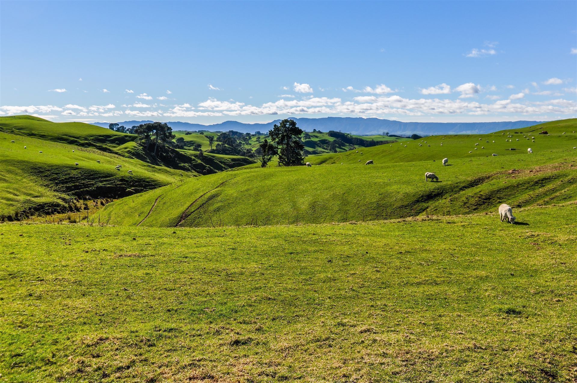In der Nähe von Hobbiton