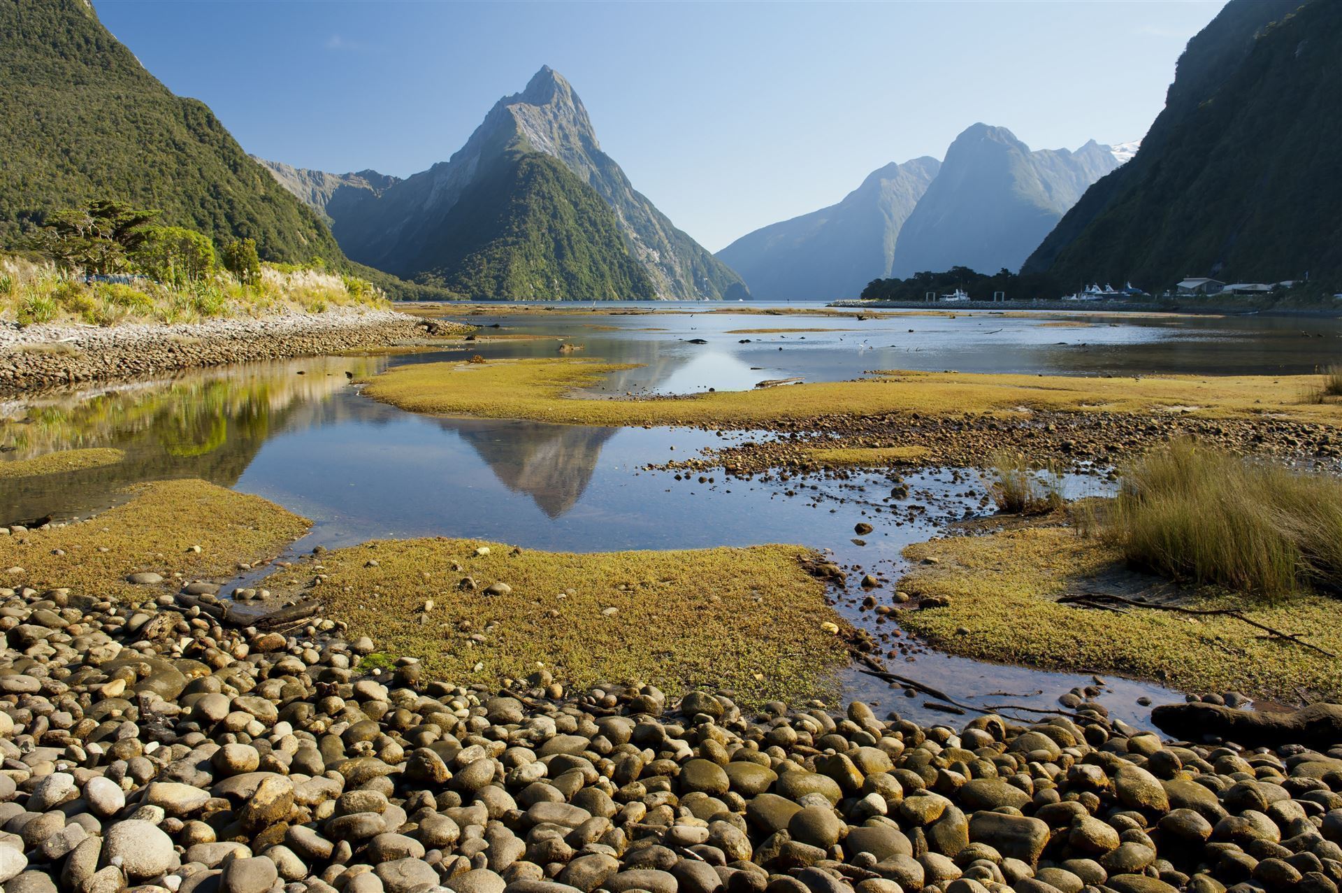 Neuseeland Milford Sound Fjord