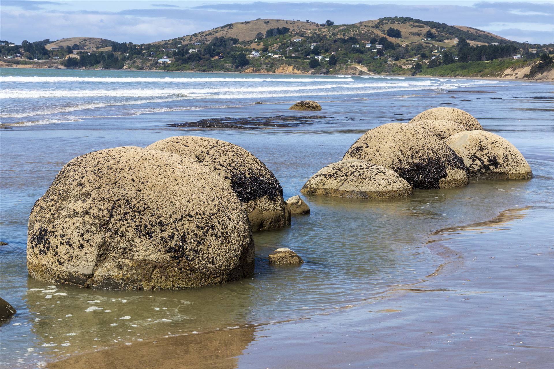 Kugelfelsen am Moeraki Boulders Strand