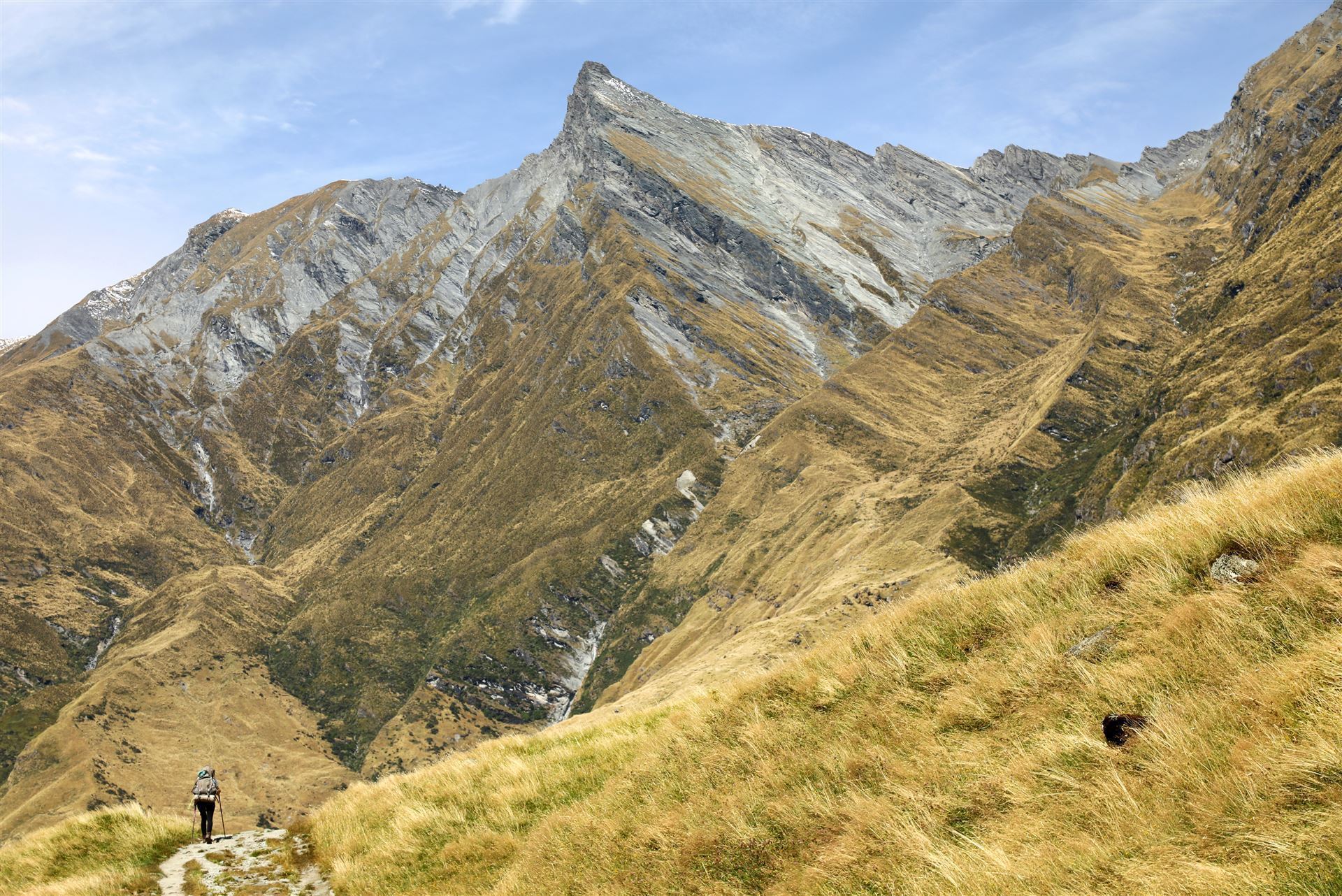 Wandern im Mount Aspiring Nationalpark