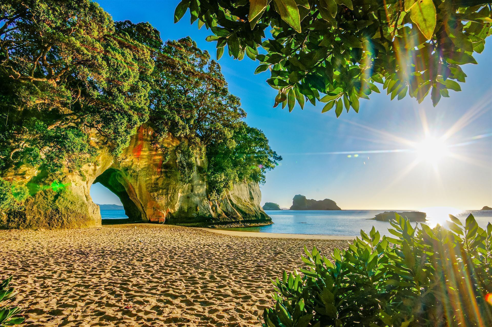 Coromandel Halbinsel mit Kathedralenbucht
