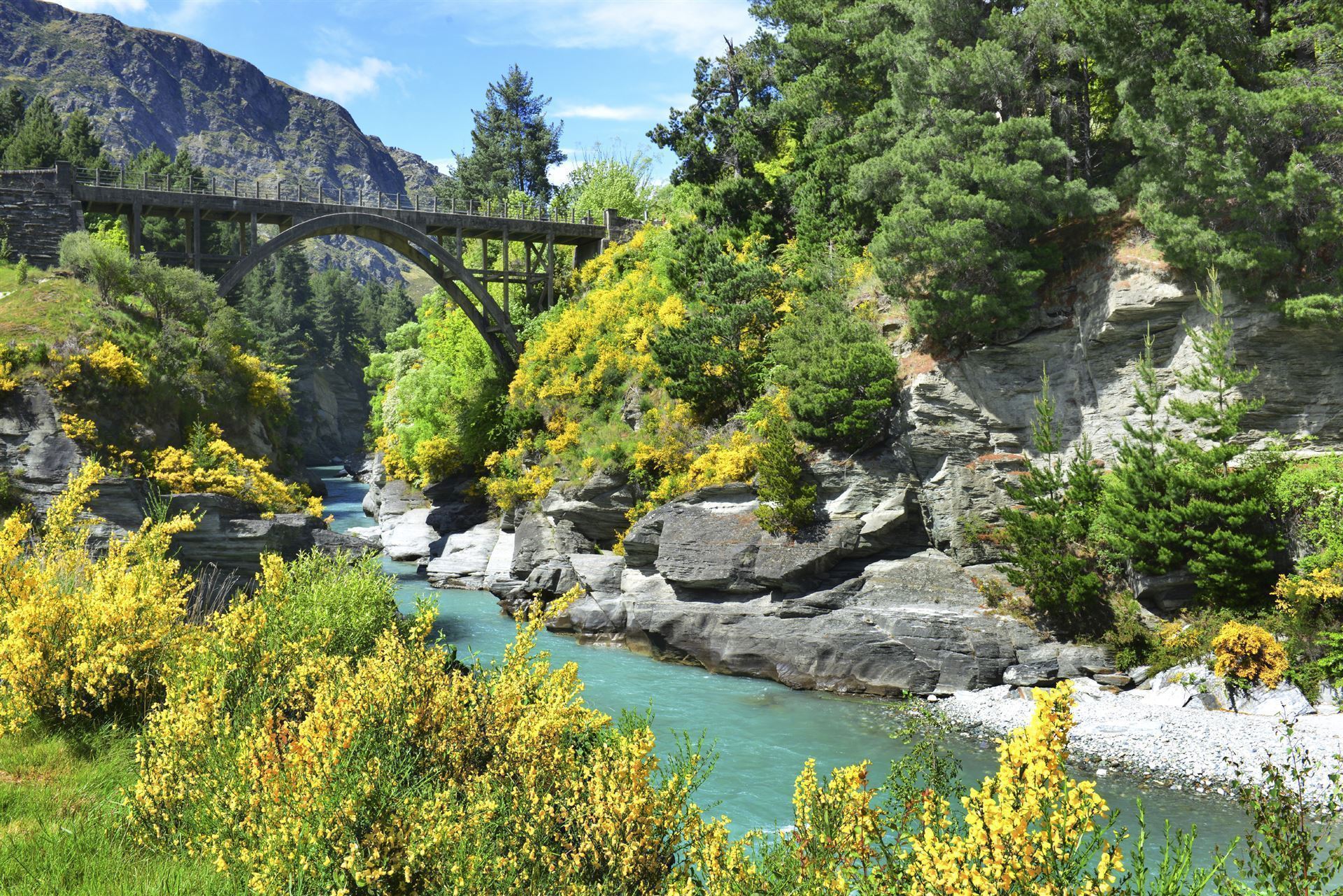 Neuseeland Otago Shotover River