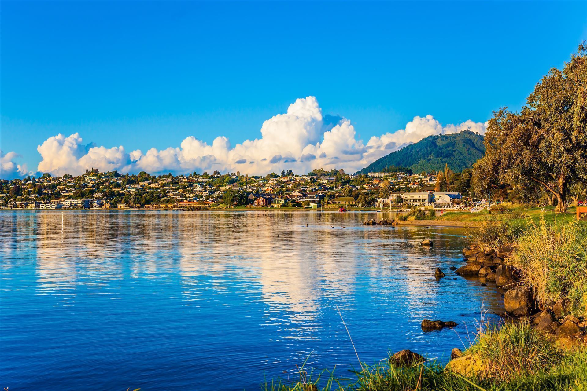 Taupo See