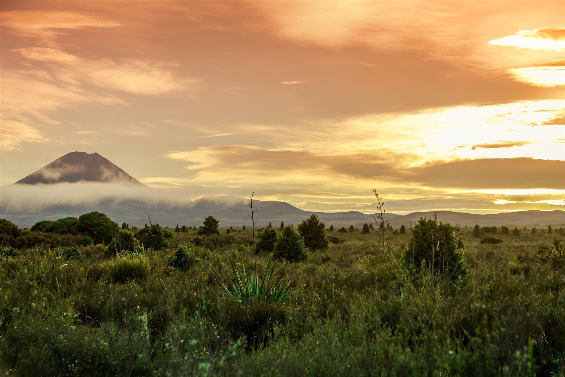 Tangariro Nationalpark