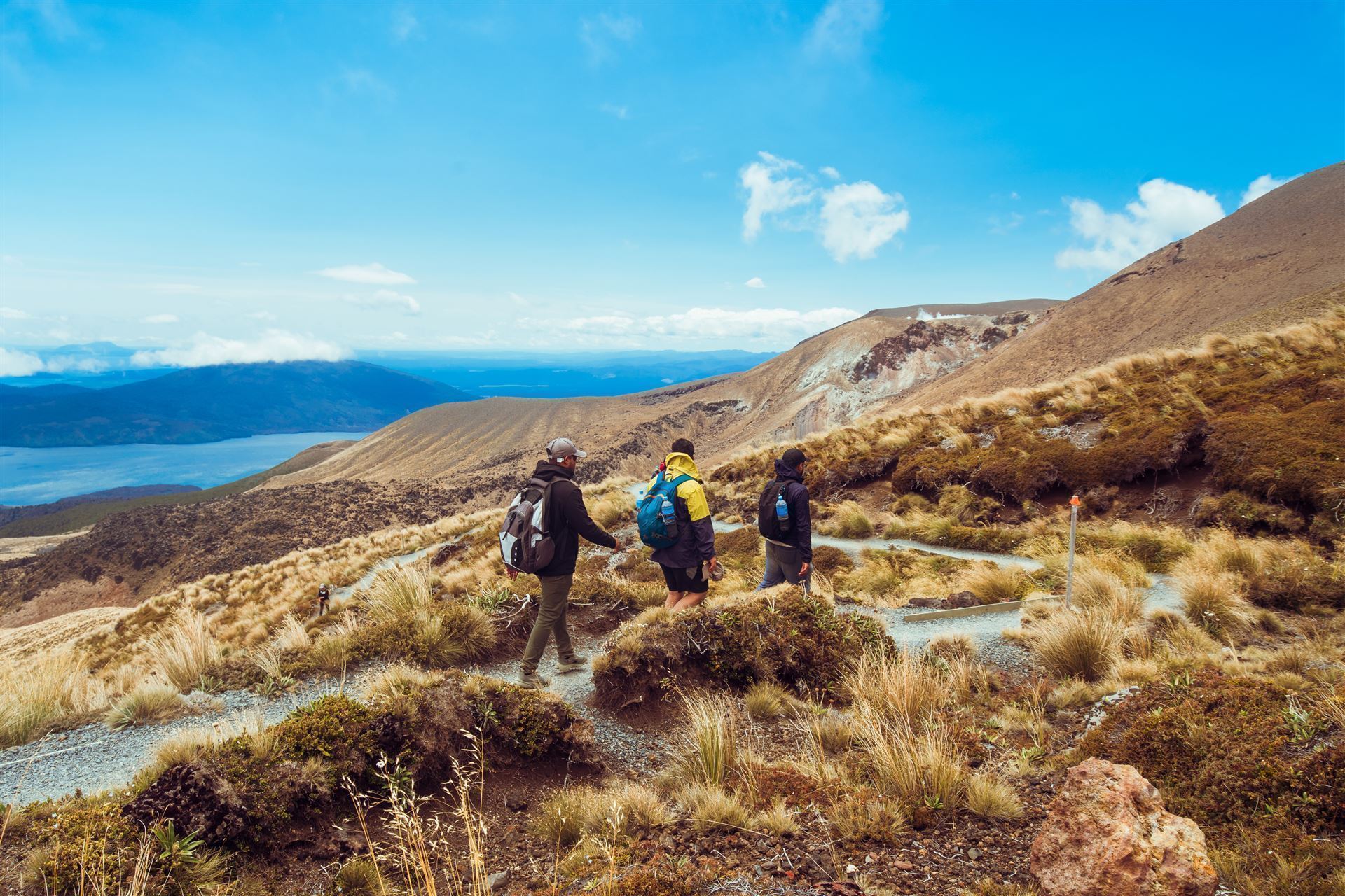 Wanderer im Tongariro Nationalpark
