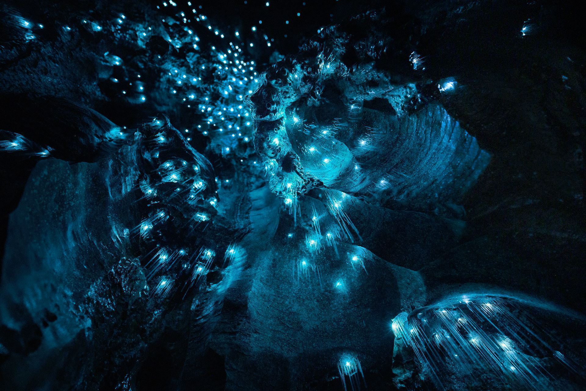 Glühwürmchen in der Waitomo Höhle