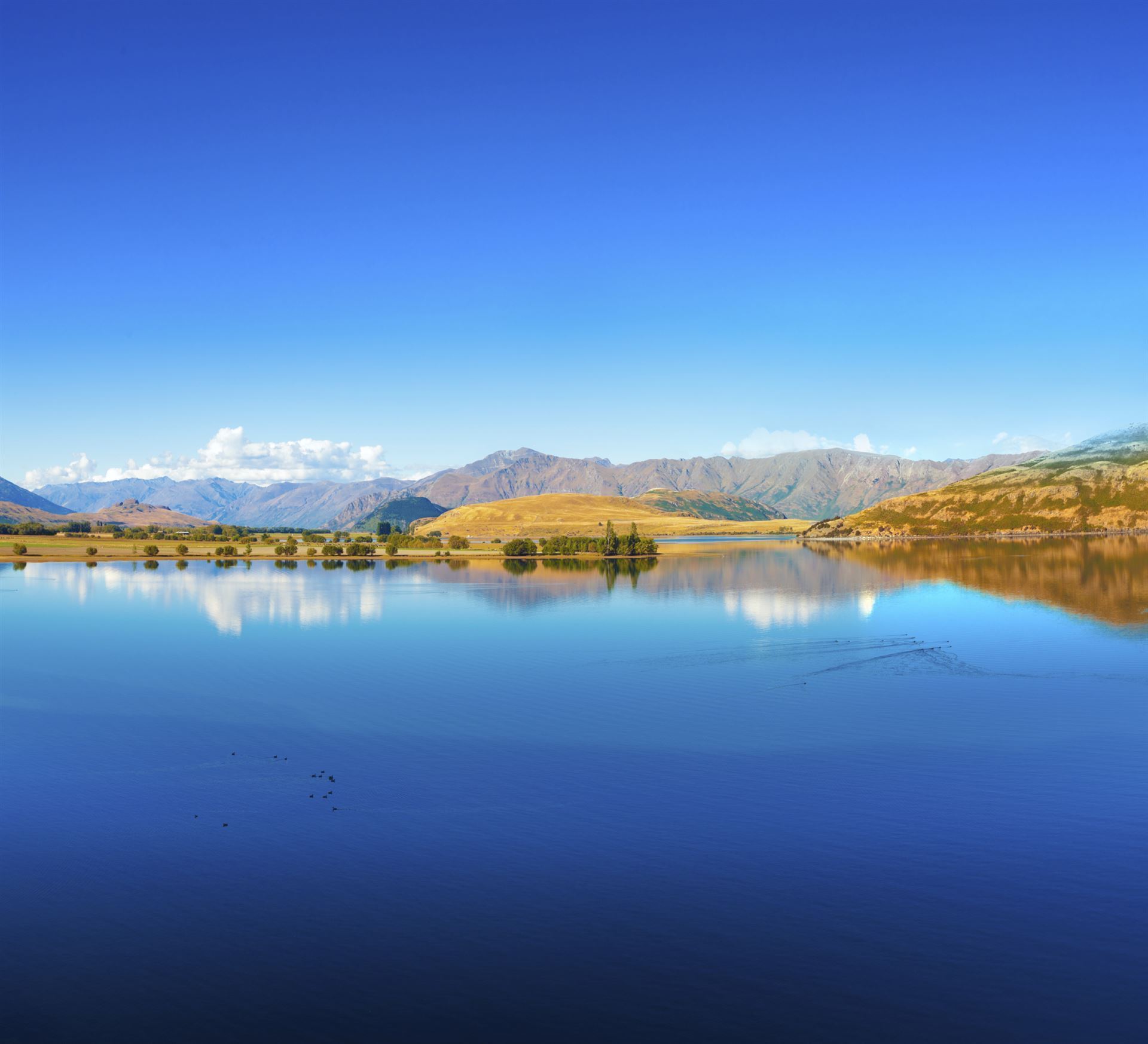 Wanaka Lake