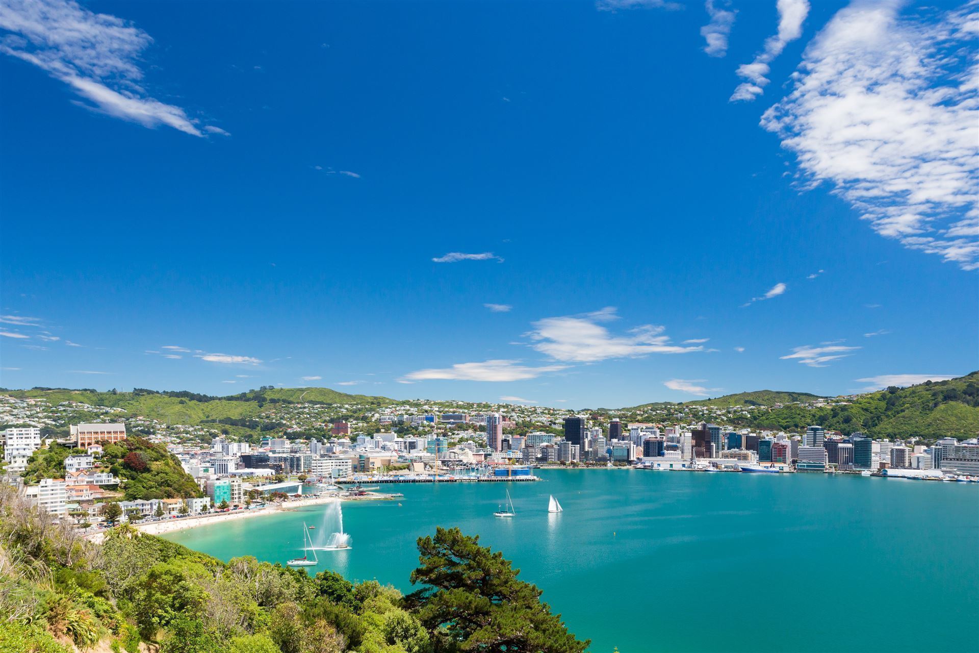 Hafen von Wellington