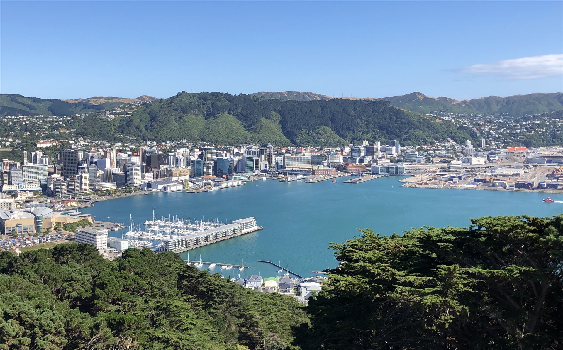 Mount Victoria