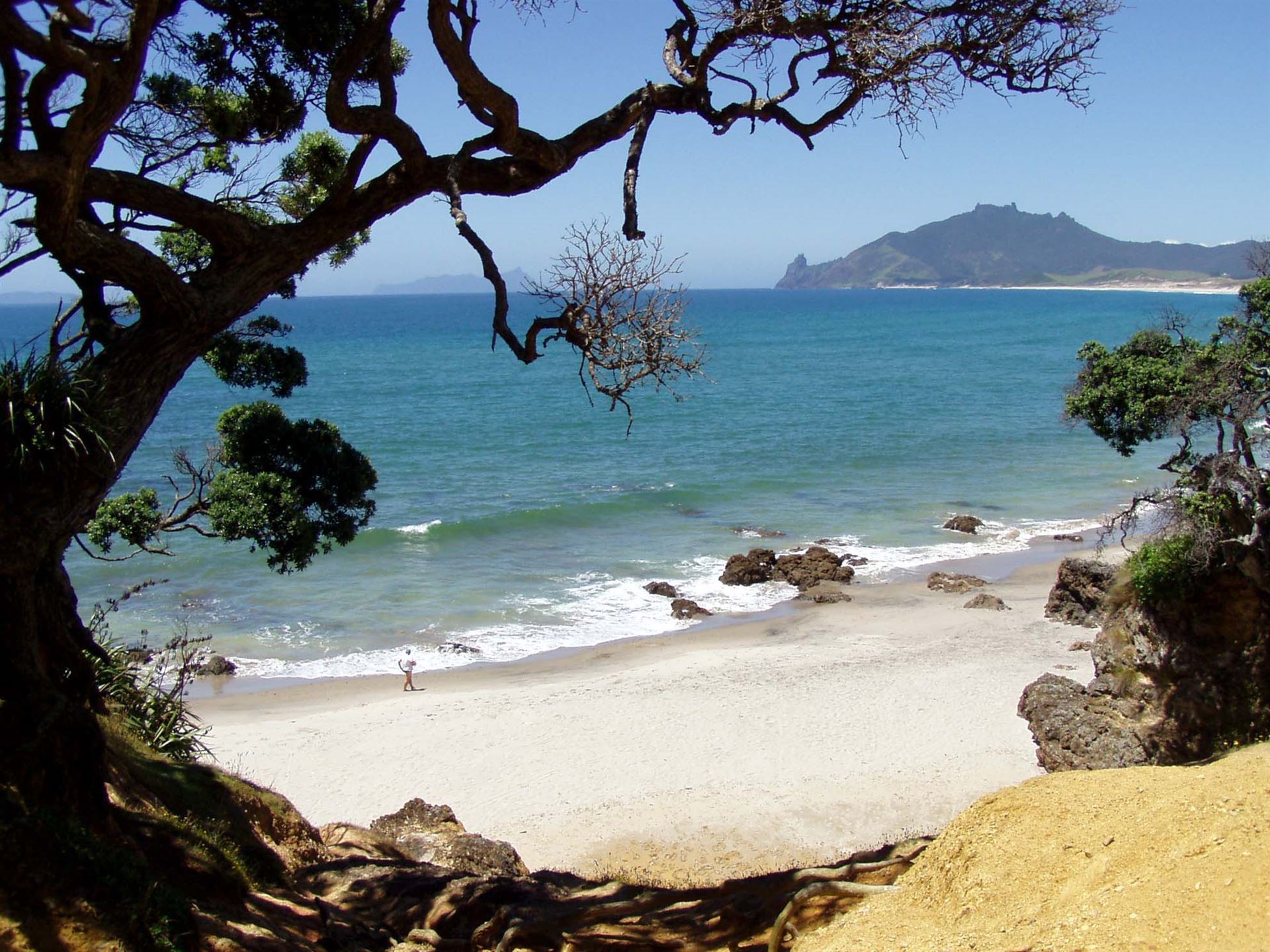 Whangarei Heads mit Meerblick
