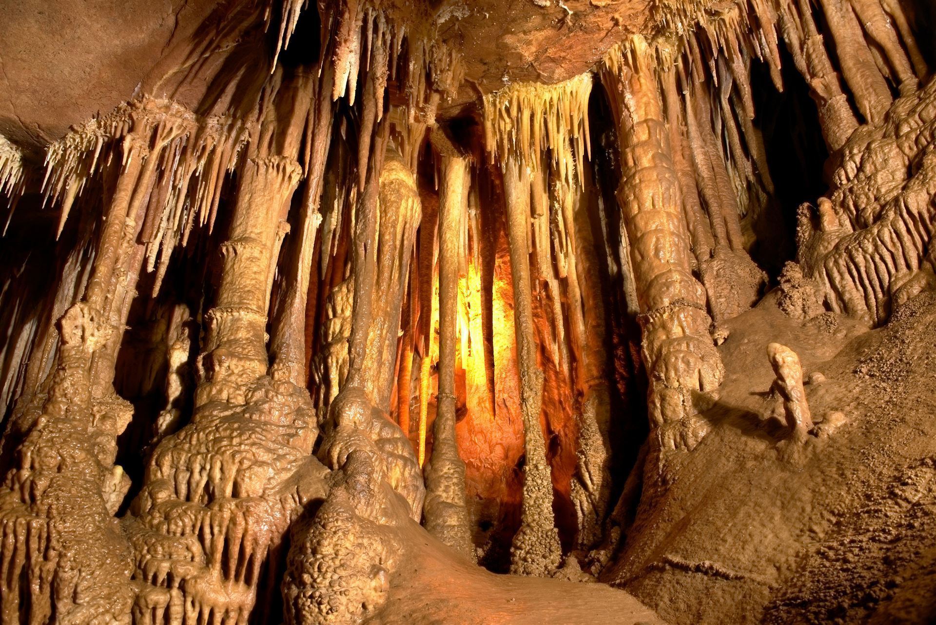 Waitomo Höhlen