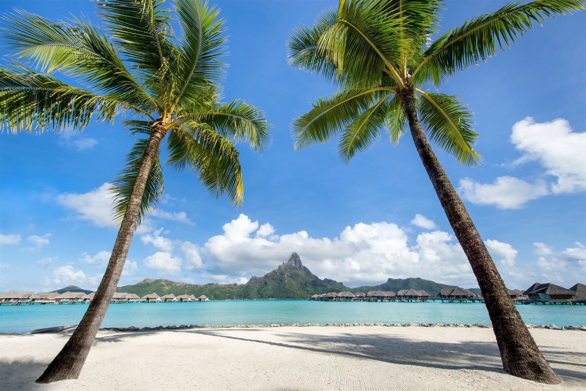 Palmenstrand auf der Inselgruppe Marquesas