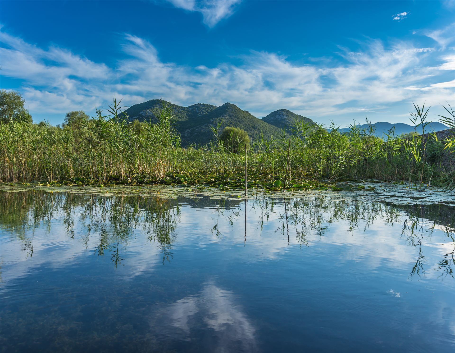 Shkodrasee