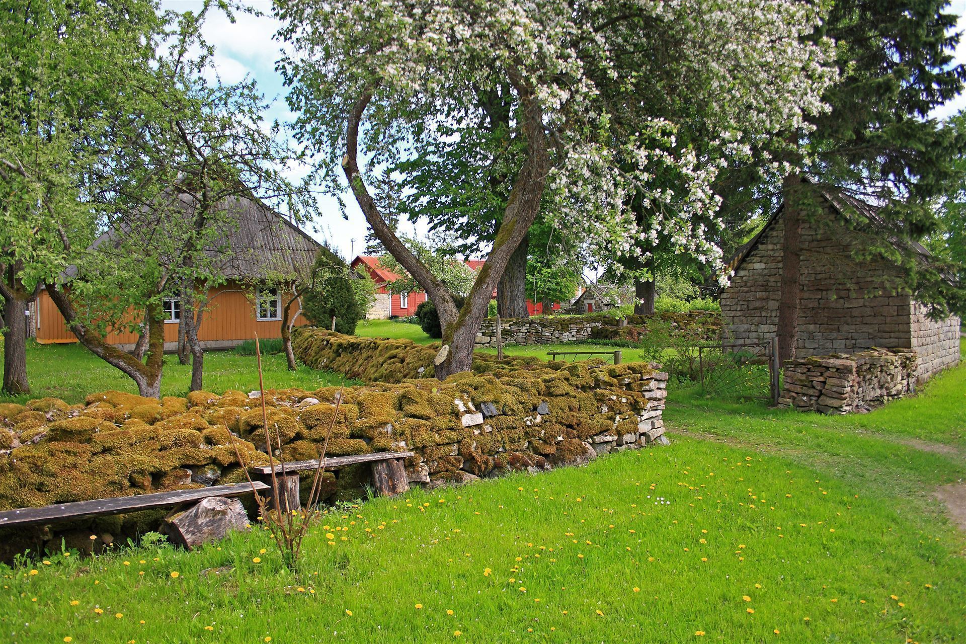 Estland_Insel Muhu