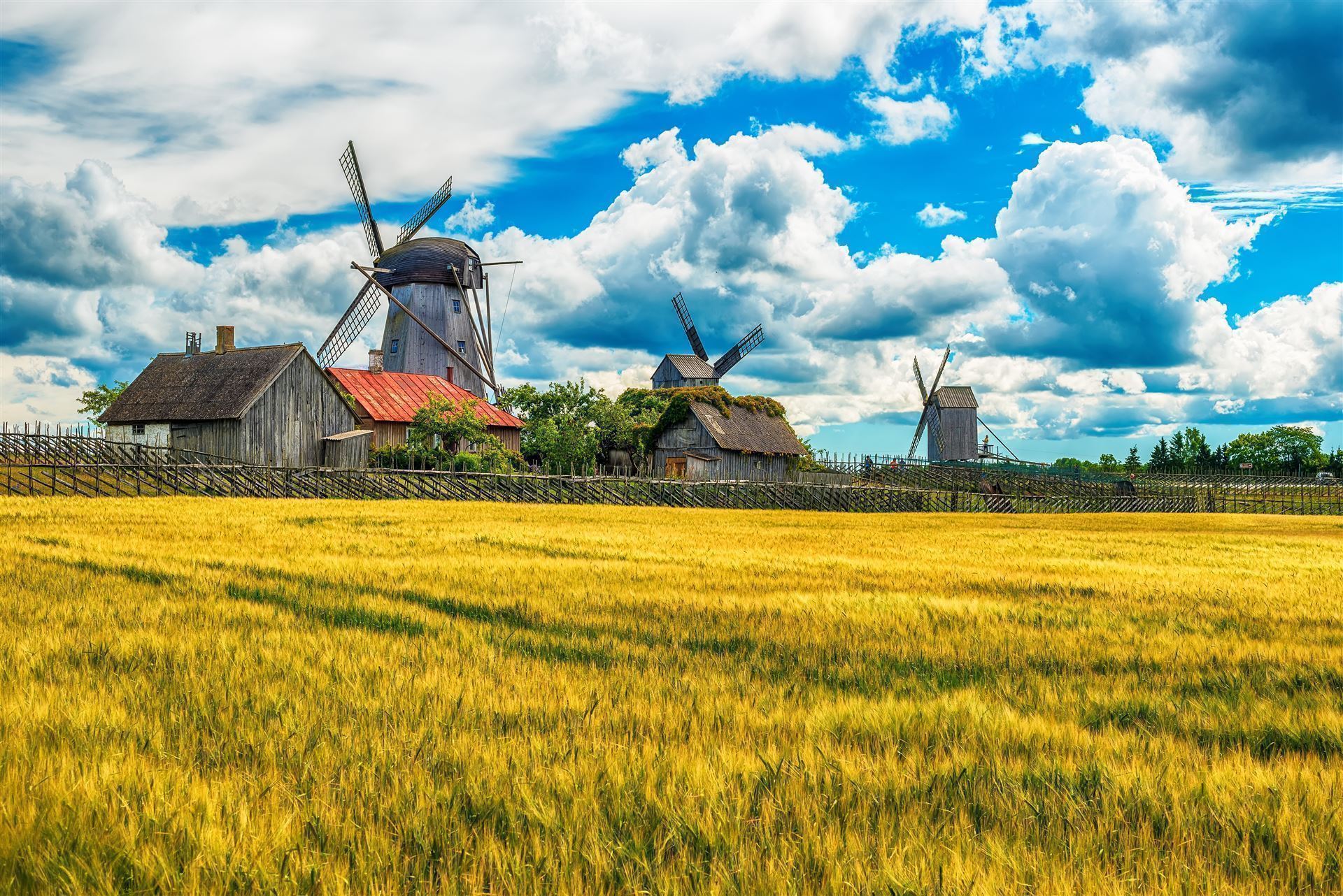 Estland_Insel Saaremaa 