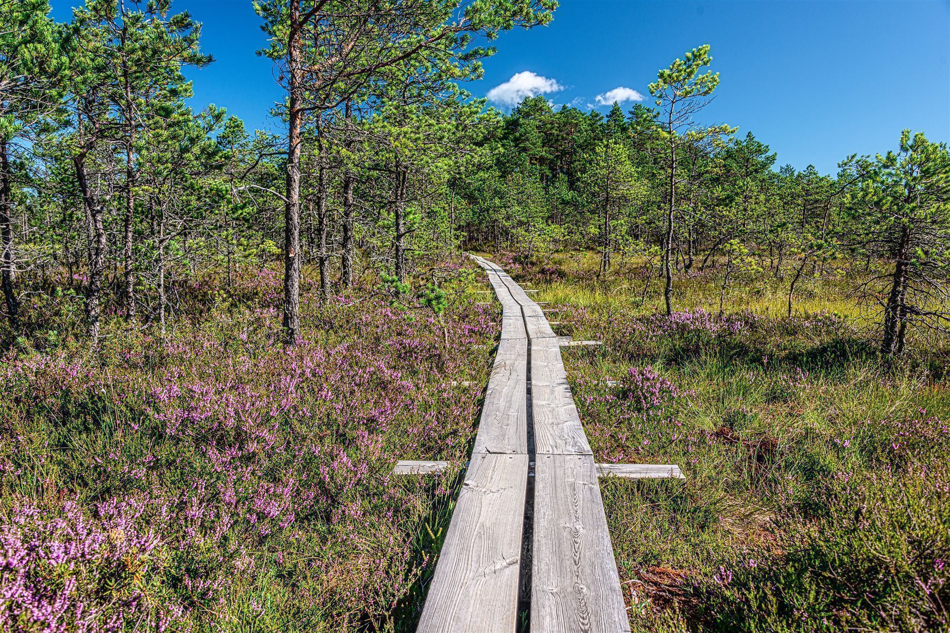 Estland_Lahemaa Nationalpark